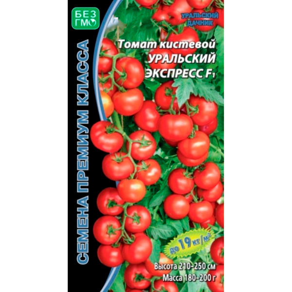 Томат Уральский экспресс