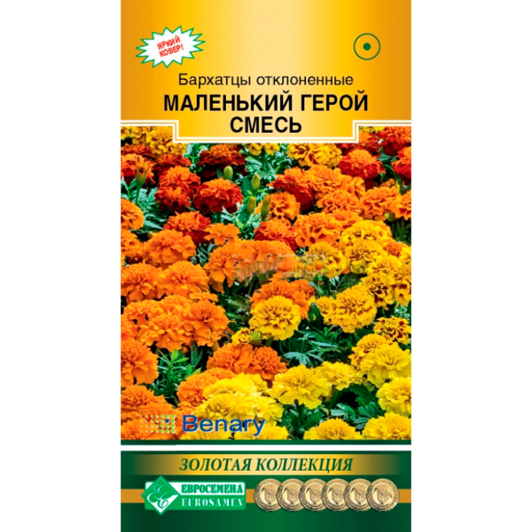 Бархатцы МАЛЕНЬКИЙ ГЕРОЙ смесь отклоненные (10 шт)