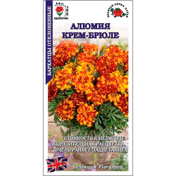 Бархатцы Алюмия Крем-Брюле F1