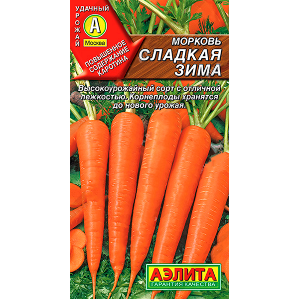 Морковь Сладкая зима
