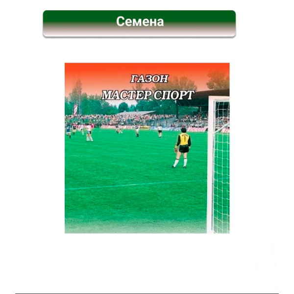 Газон Мастер Спорта 1,0кг