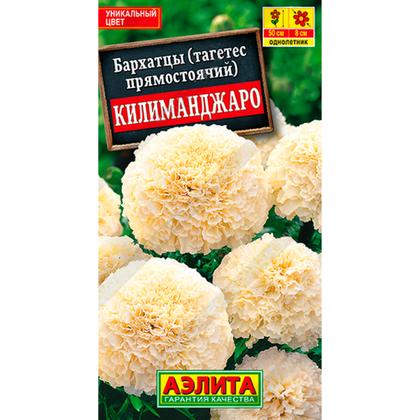 Бархатцы (тагетес прямостоячий) Килиманджаро