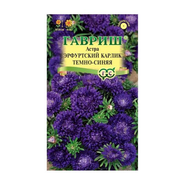 Га010083 Астра Эрфуртский карлик Темно-синяя, однолетняя, 0,3 г