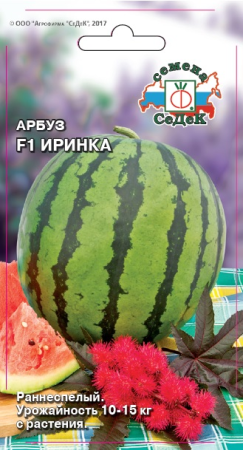 v8_24C0_34bd3