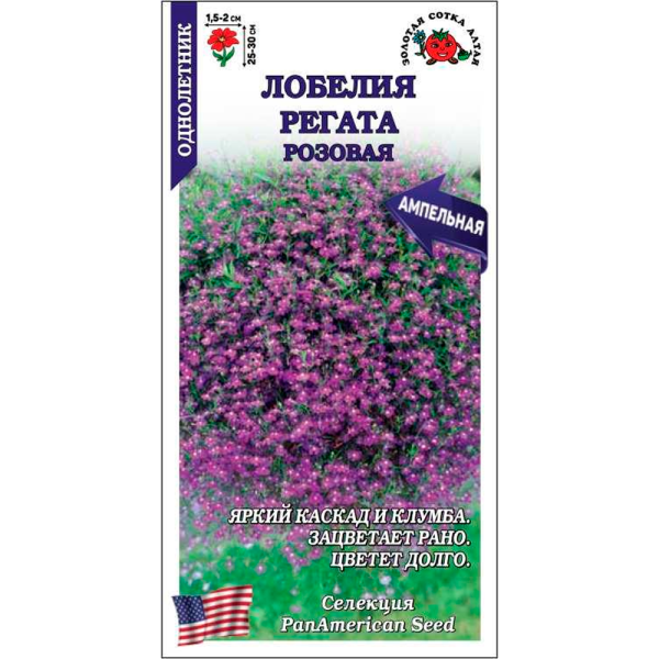 Лобелия Регата Розовая ампел