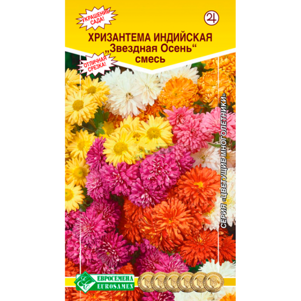 Хризантема индийская  ЗВЕЗДНАЯ ОСЕНЬ смесь