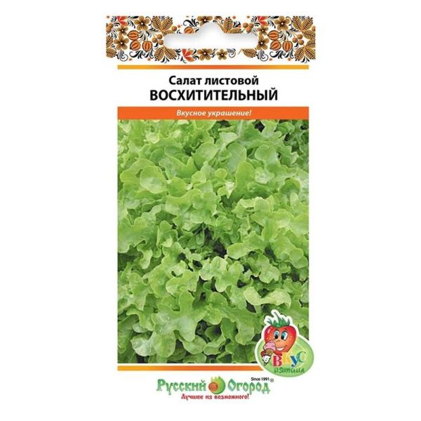 02Ру3782 Салат листовой Восхитительный (Вкуснятина) (200шт)