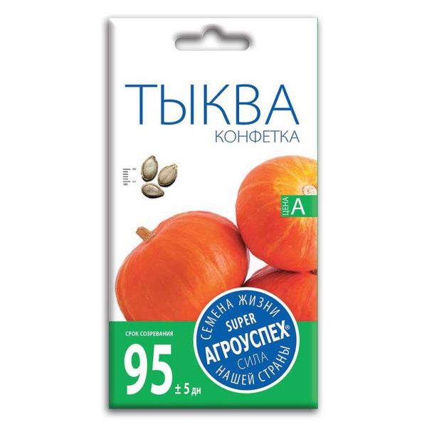 02Аг5856 Тыква Конфетка, семена Агроуспех 2г (170)