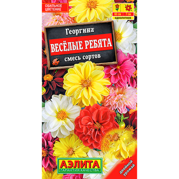 Георгина Весёлые ребята, смесь