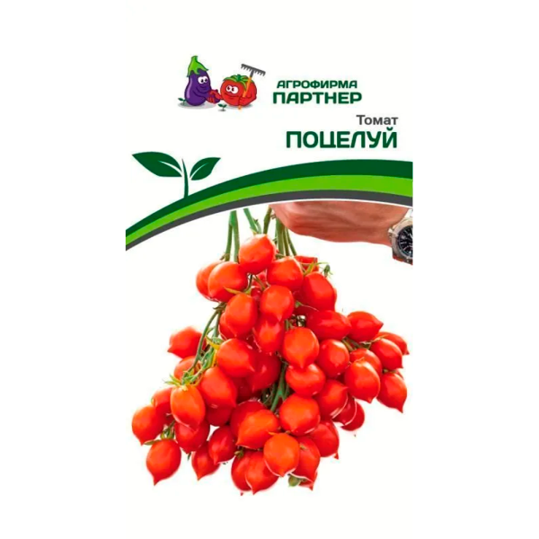 Томат ПОЦЕЛУЙ