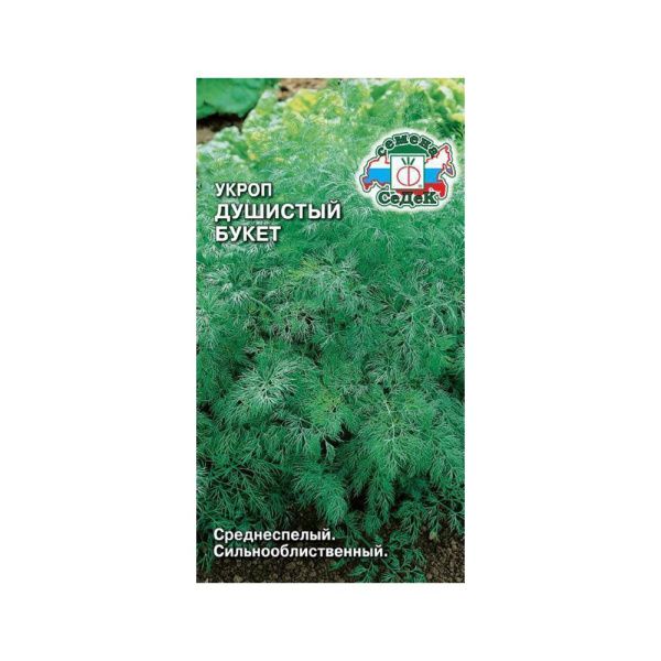 02Се4881 укроп Душистый букет