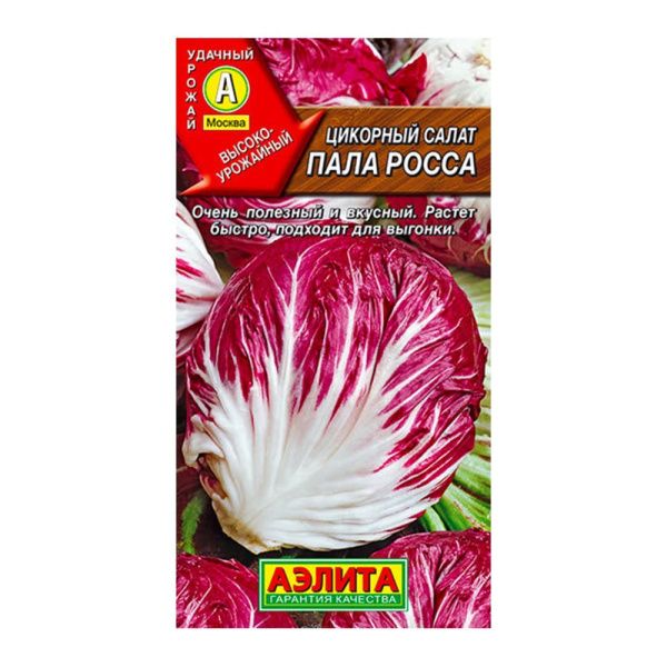 02Аэ1237 Цикорный салат Пала Росса
