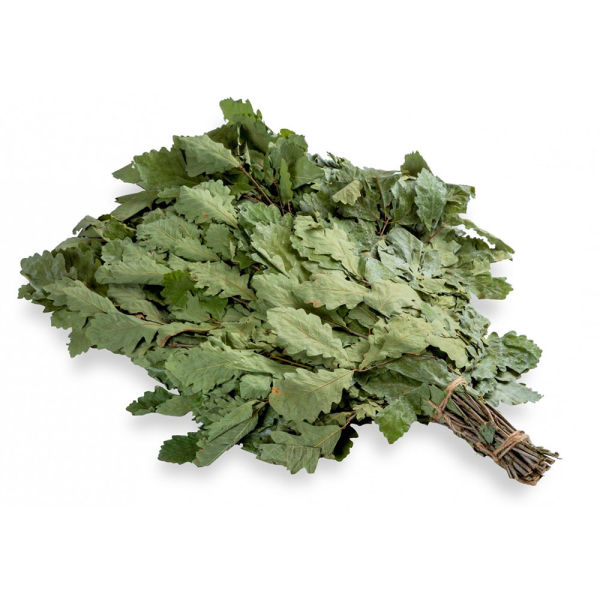 Веник из порослевого дуба