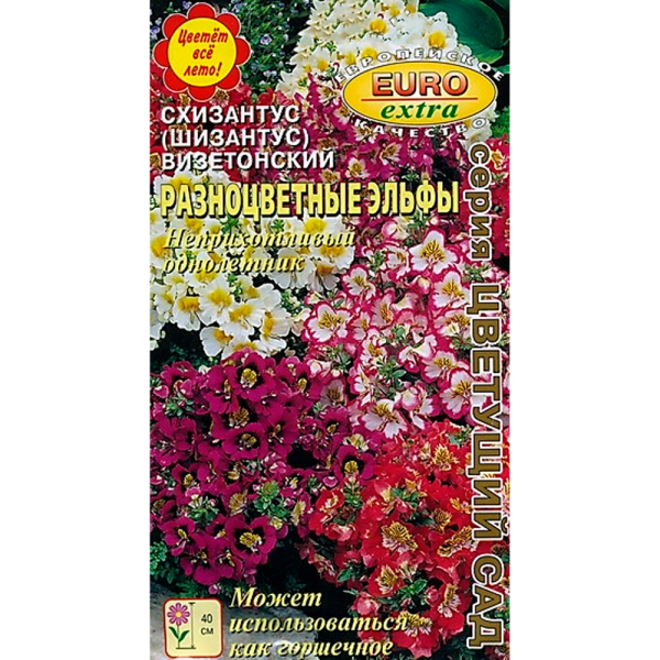 Схизантус Разноцветные эльфы смесь
