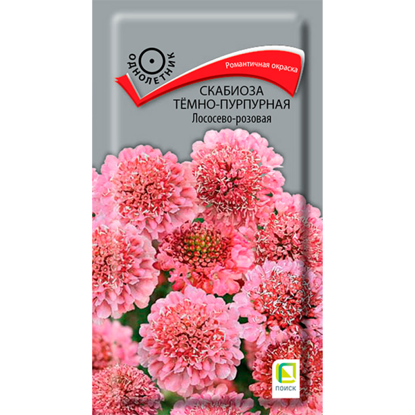 Скабиоза темно-пурпурная Лососево-розовая (ЦВ) (1) 0,2гр