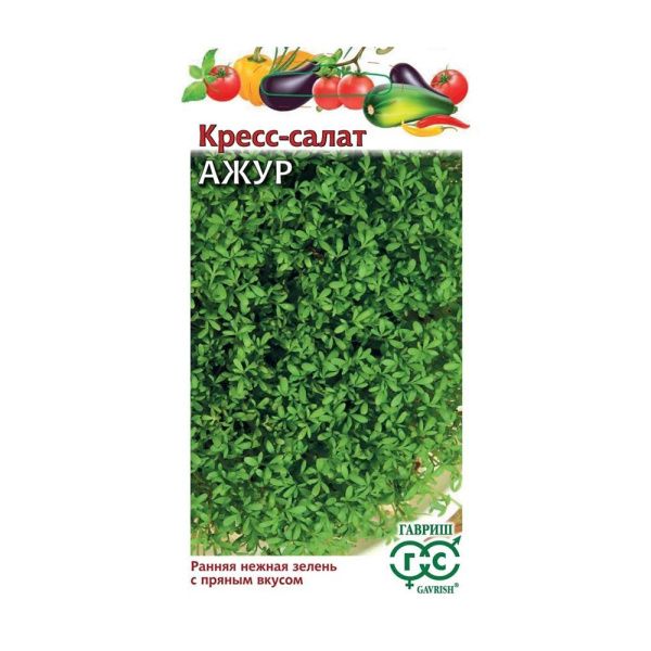 Га014304 Кресс-салат Ажур 1 г Н24