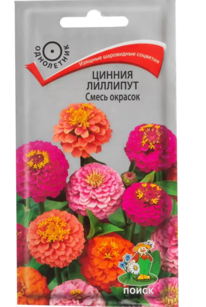 Цинния лиллипут Смесь окрасок 