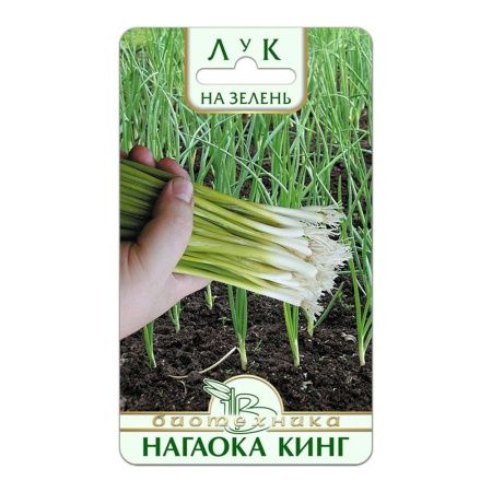 02Би2906 Лук на зелень Нагаока Кинг NDS