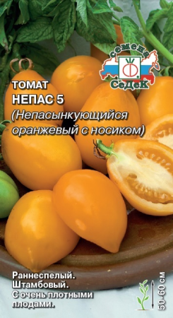 v8_24C0_34be9 v8_24C0_34be9