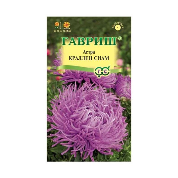 Га010071 Астра Краллен Сиам, однолетняя (коготковая лиловая) 0,3 г DH