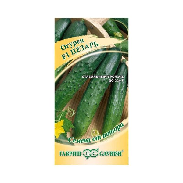Га013440 Огурец F1 Цезарь Н19 (10)