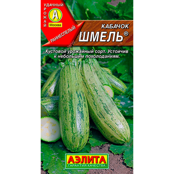 Кабачок цуккини Шмель