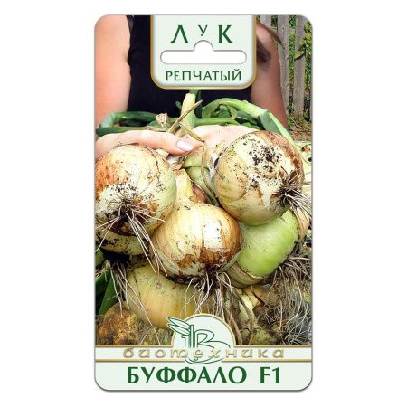 02Би2908 Лук репчатый Буффало F1 NDS