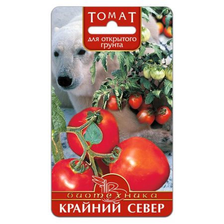 02Би3131 Томат Крайний север  NDS