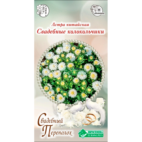 Астра СВАДЕБНЫЕ КОЛОКОЛЬЧИКИ китайская (5 шт)