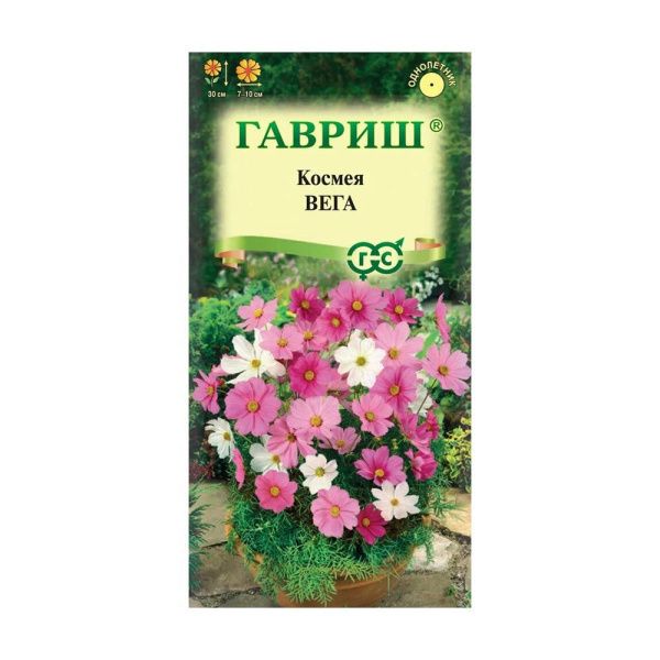 Га010049 Космея Вега, бело-розовая смесь 0,5 г