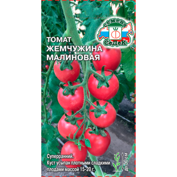 томат Жемчужина Малиновая