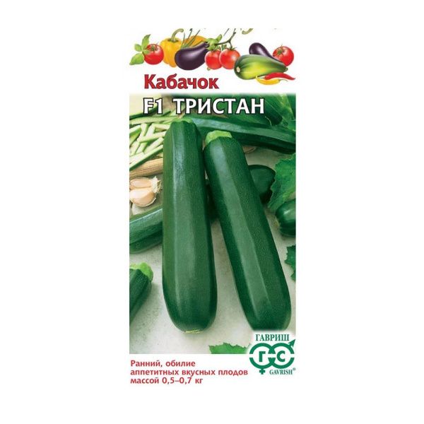 Га010222 Кабачок Тристан F1 5 шт. (Германия)