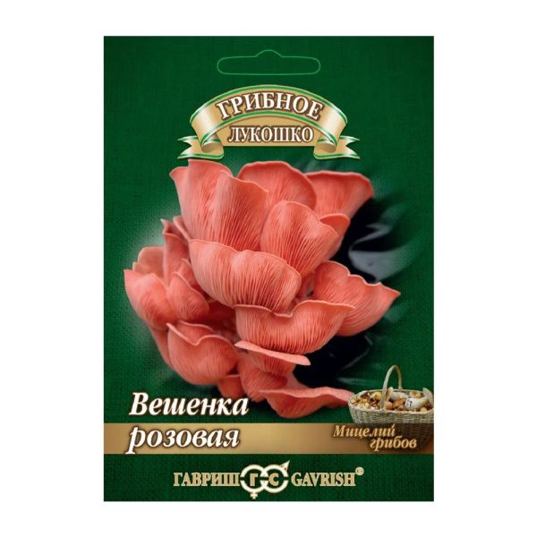 Га014233 Вешенка Розовая на древесной палочке, больш. пак. 12 шт