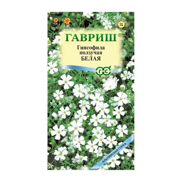 Га019831 Гипсофила ползучая, Белая 0,05 г Гавриш