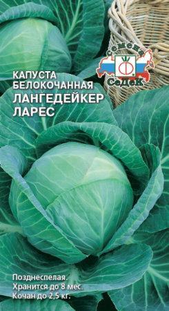 v8_24C0_34c79