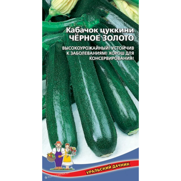 Кабачок Чёрное золото (УД)