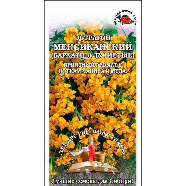 Эстрагон Мексиканский