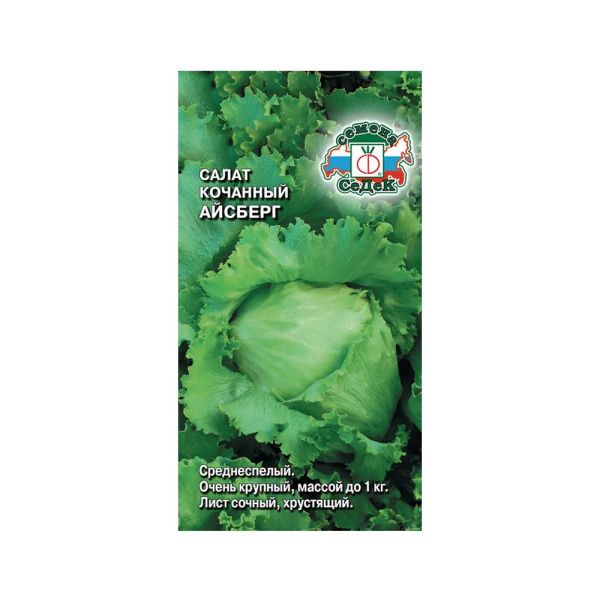 02Се4862 салат Айсберг (айсберг)