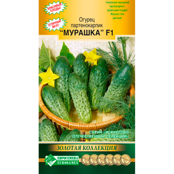 Огурец партенокарпик МУРАШКА F1