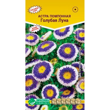 Астра ГОЛУБАЯ ЛУНА помпонная  (0,1 гр)