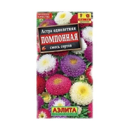 02Аэ1377 Астра Помпонная, смесь сортов