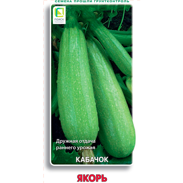 Кабачок Якорь (ЦВ) 12шт