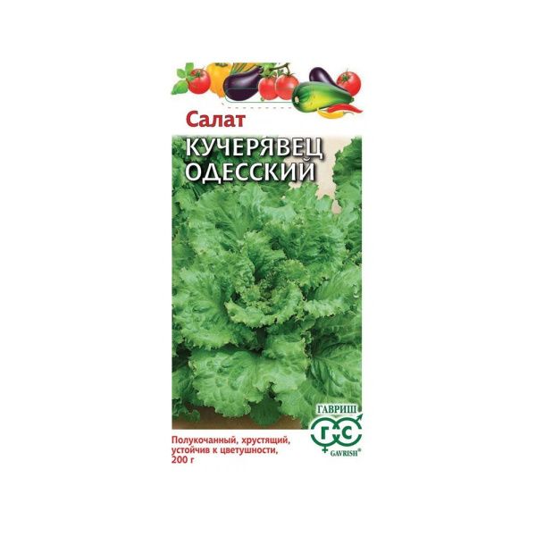 Га031602 Салат Кучерявец Одесский 0,5 г хрустящий