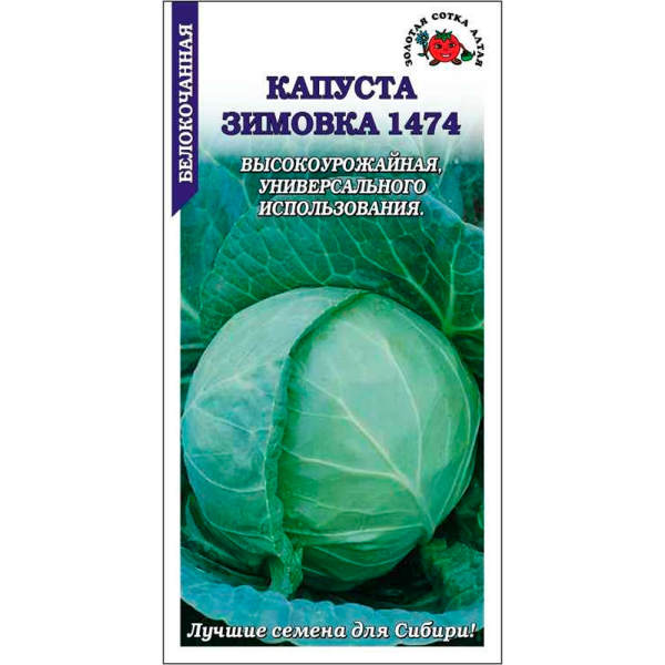 Капуста белокочанная Зимовка