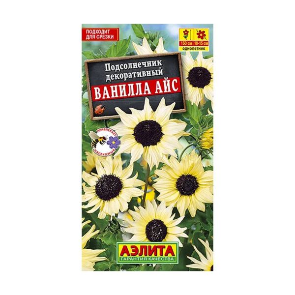 02Аэ1278 Подсолнечник декоративный Ванилла айс