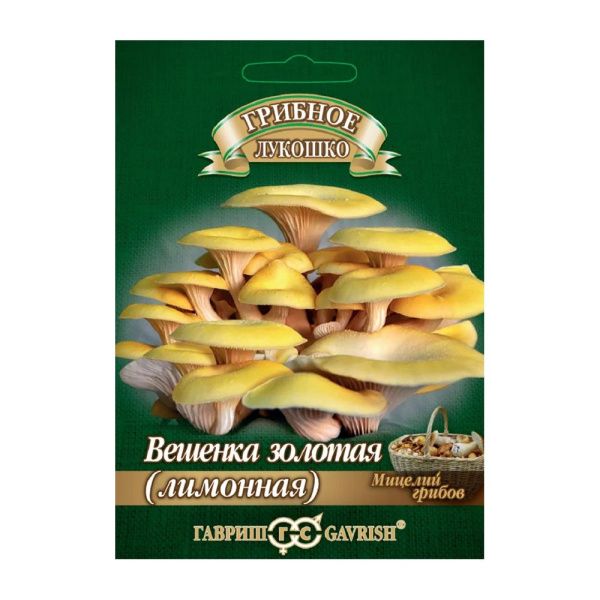 Га014153 Вешенка золотая Лимонная на древесн. палочке, больш. пак. 12 шт