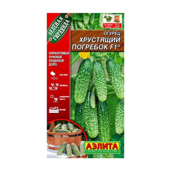 02Аэ1084 Огурец Хрустящий погребок F1