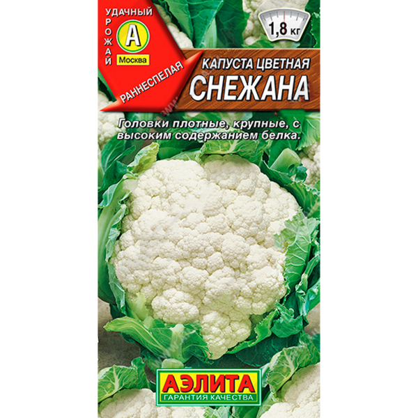 Капуста цв. Снежана