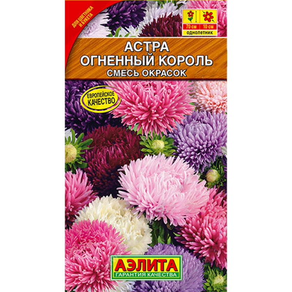 Астра Огненный король, смесь сортов