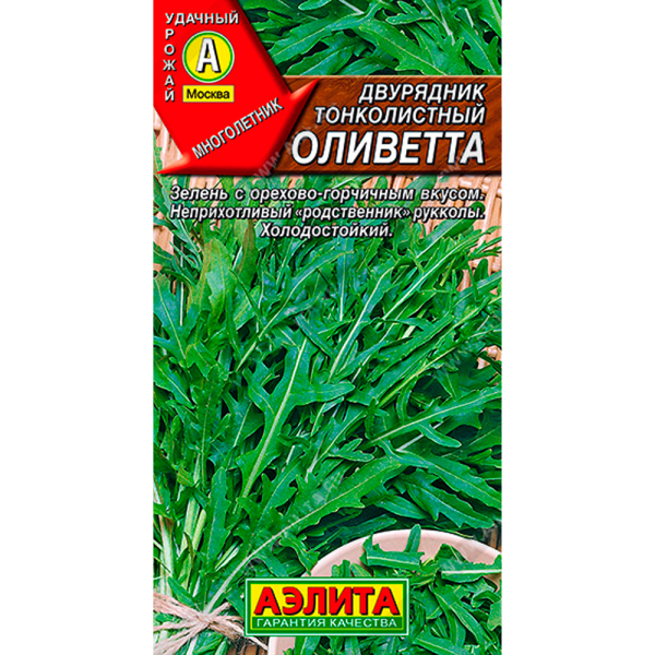 Двурядник тонколистный Оливетта